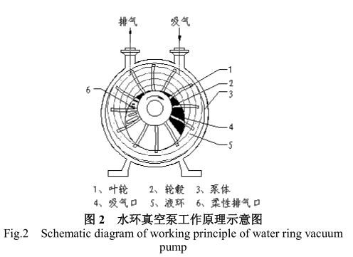 水環(huán)真空泵的原理